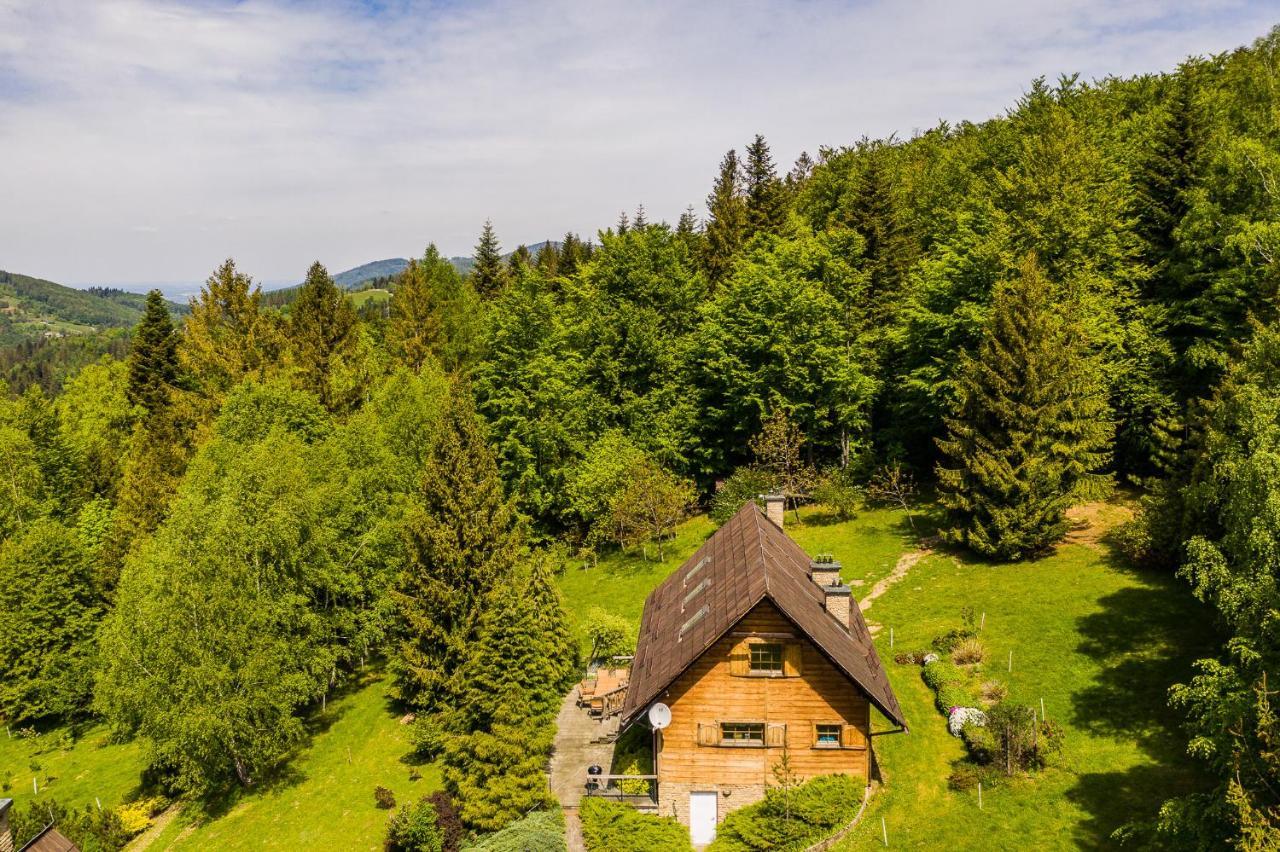 Chata Jarzebata Wisła Esterno foto
