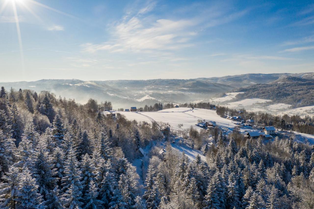 Chata Jarzebata Wisła Esterno foto