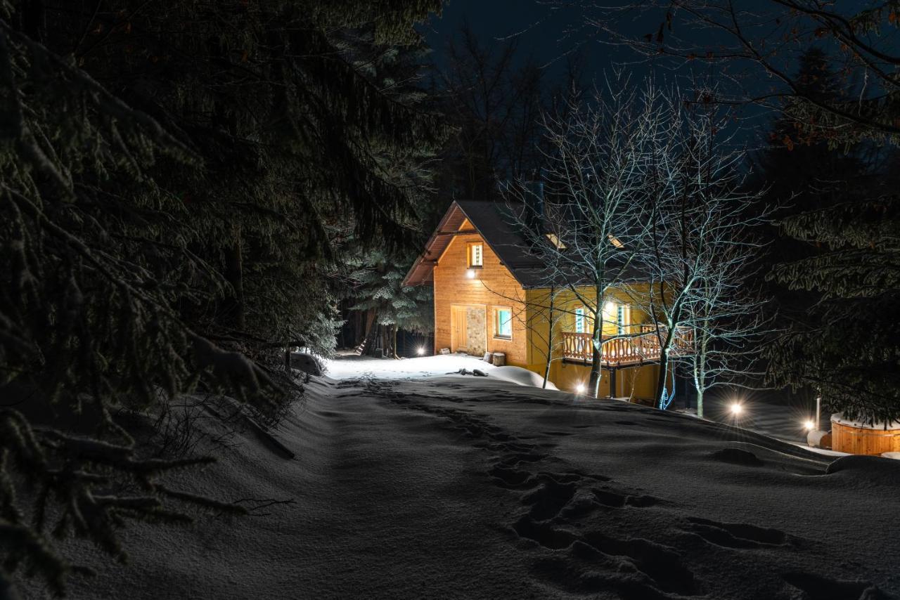 Chata Jarzebata Wisła Esterno foto