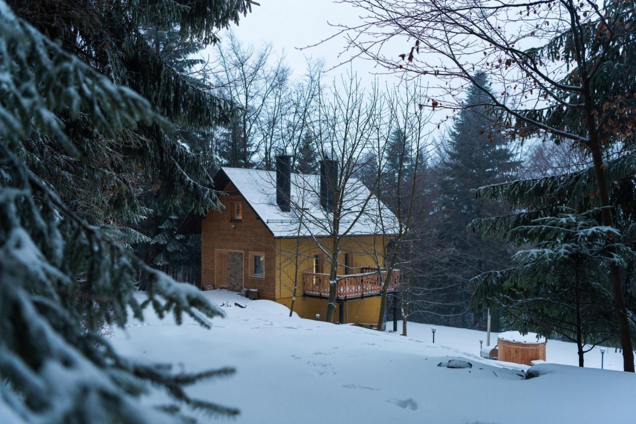 Chata Jarzebata Wisła Esterno foto